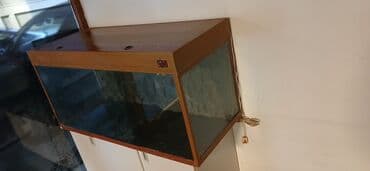 Dördbucaq akvarium, Boş, 300 l lalafo.az -da Dördbucaq akvarium, Boş, 300 l