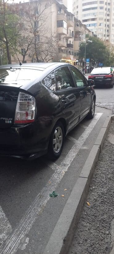 Pirus hibrit 20 kuza arendaya verilir guni 25 manat + depazit - lalafo.az -da Pirus hibrit 20 kuza arendaya verilir guni 25 manat + depazit -