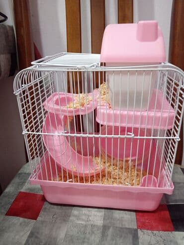 Лекарства для животных: Hamster üçün tam dəst qəfəs - Rəng: açıq çəhrayı/ağ - Korpus: möhkəm at lalafo.az — 2 Лекарства для животных: Hamster üçün tam dəst qəfəs - Rəng: açıq çəhrayı/ağ - Korpus: möhkəm — 2