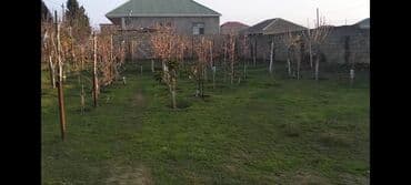 3 sot, Tikinti, Kupça (Çıxarış) lalafo.az -da 3 sot, Tikinti, Kupça (Çıxarış)