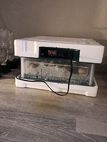 1 aydir almsam 1 defe isdfade etim indi satram hec bir pramlemi yuxdu lalafo.az -da 1 aydir almsam 1 defe isdfade etim indi satram hec bir pramlemi yuxdu