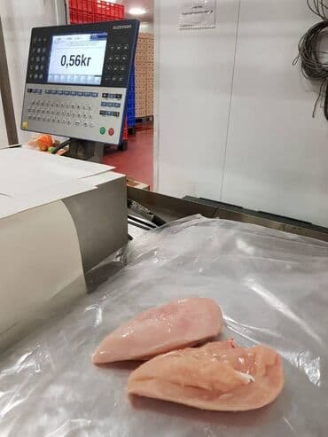 Рыба и морепродукты: Toyug BroylerKend ToyuguToyug Mehsullari Belarusiyadan,Ukraynadan at lalafo.az — 4 Рыба и морепродукты: Toyug BroylerKend ToyuguToyug Mehsullari Belarusiyadan,Ukraynadan — 4