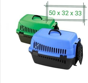 Pişik - İt - Dovşan Dələ - Marskoy Svinka-,Dəniz donuzu,, daşımaq lalafo.az -da Pişik - İt - Dovşan Dələ - Marskoy Svinka-,Dəniz donuzu,, daşımaq