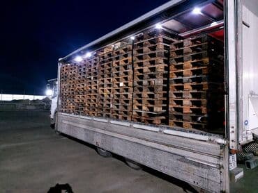 BİSMİLLAH. 2, 5, 10, 15, tona qədər yükləriniz Daşıya bilərik lalafo.az -da BİSMİLLAH. 2, 5, 10, 15, tona qədər yükləriniz Daşıya bilərik