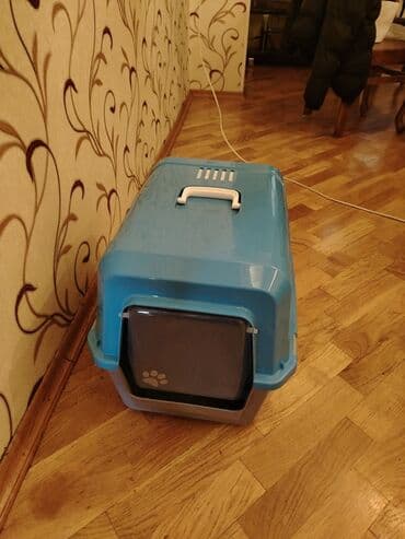 Cox gozel vəziyətdə üstündə yeməy və su qabı da verilir hətta pisiyi lalafo.az -da Cox gozel vəziyətdə üstündə yeməy və su qabı da verilir hətta pisiyi