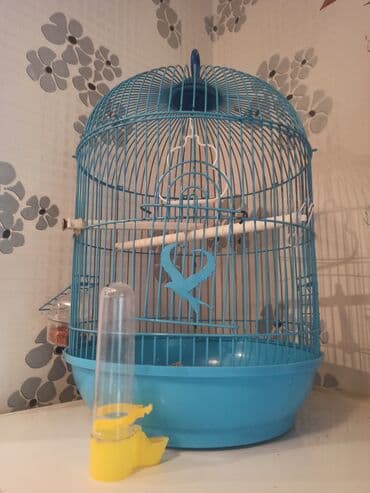 Yem qabi su qabı verilir unvan Azadliq metrosuna yaxın Ancaq ünvandan lalafo.az -da Yem qabi su qabı verilir unvan Azadliq metrosuna yaxın Ancaq ünvandan