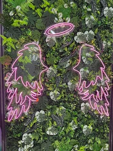 Neon LED “Mələk qanadları - Dizayn: İki ədəd stilizə olunmuş qanad və lalafo.az -da Neon LED “Mələk qanadları - Dizayn: İki ədəd stilizə olunmuş qanad və