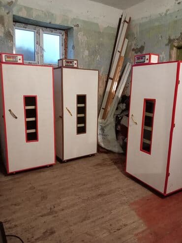 Tam avtomat lalafo.az -da Tam avtomat