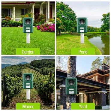 sican: Yeni, Rayonlara çatdırılma, Ünvandan götürmə, Ödənişli çatdırılma lalafo.az -da — 2 sican: Yeni, Rayonlara çatdırılma, Ünvandan götürmə, Ödənişli çatdırılma — 2