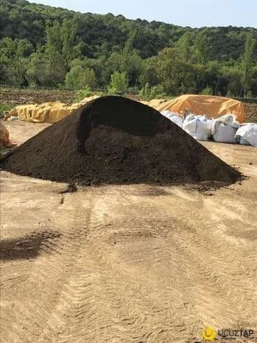 Другие растения: Qara torpaq İsmayıllı, Şamaxı, Mərəzə rayonları ərazisindən istəyə at lalafo.az — 3 Другие растения: Qara torpaq İsmayıllı, Şamaxı, Mərəzə rayonları ərazisindən istəyə — 3