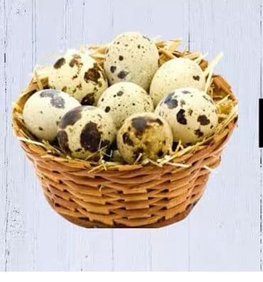 Mayalı bildircin yumurtaları satılır! Həm yeməyə həmdə inqubasiyaya lalafo.az -da Mayalı bildircin yumurtaları satılır! Həm yeməyə həmdə inqubasiyaya