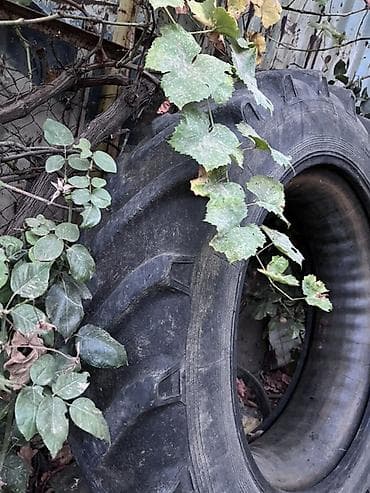 Aqro texnika üçün traktor şini - Tip: Arxa ox üçün aqrar/dişli lalafo.az -da Aqro texnika üçün traktor şini - Tip: Arxa ox üçün aqrar/dişli