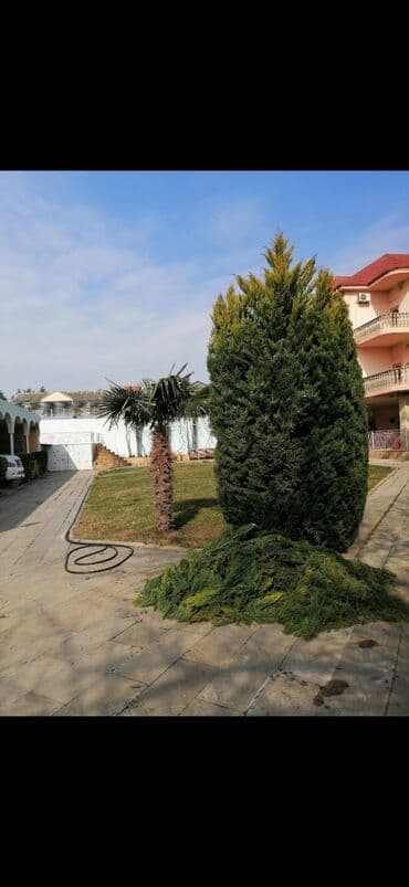 Gözəllik Salonları: Bağban, 44 yaş, 5 ildən artıq təcrübə lalafo.az -da — 9 Gözəllik Salonları: Bağban, 44 yaş, 5 ildən artıq təcrübə — 9