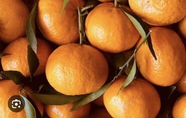 Təzə şirin mandarin Topdaş satış Astara rayonu lalafo.az -da Təzə şirin mandarin Topdaş satış Astara rayonu