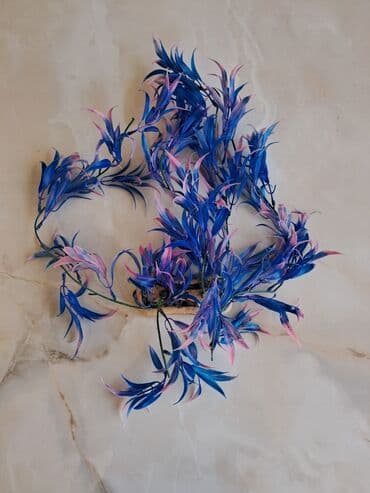 10 m,Şəkildə göründüyü kimi və suda şaxələnir və maraqlı görünür lalafo.az -da 10 m,Şəkildə göründüyü kimi və suda şaxələnir və maraqlı görünür