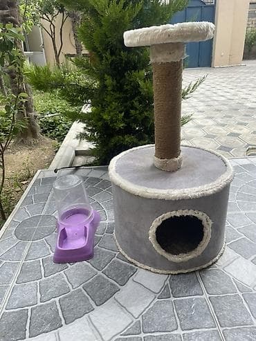 Pişik üçün hem yuva,hemde oyun kopiıeksi.Yemek qabı hediyye.Yeni lalafo.az -da Pişik üçün hem yuva,hemde oyun kopiıeksi.Yemek qabı hediyye.Yeni