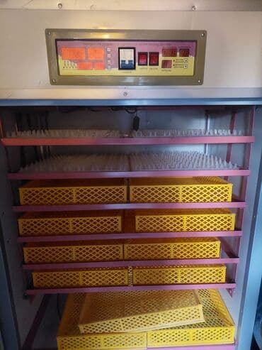 Доильные аппараты: Yumurta İnkubatoru – avtomatik idarəetməli, çoxrəfli 1200 yumurtalı at lalafo.az — 5 Доильные аппараты: Yumurta İnkubatoru – avtomatik idarəetməli, çoxrəfli 1200 yumurtalı — 5