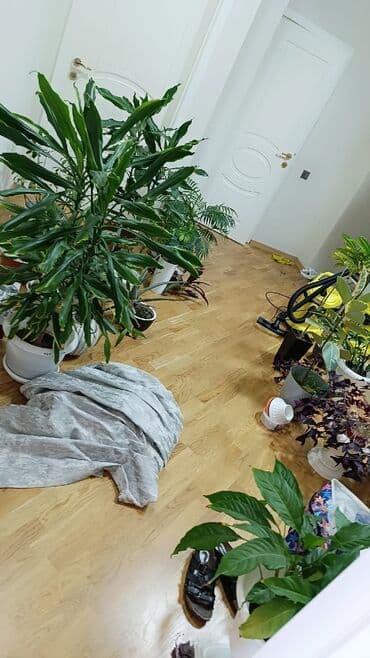 Кухонные краны: Перегородка, Прямоугольная at lalafo.az — 28 Кухонные краны: Перегородка, Прямоугольная — 28