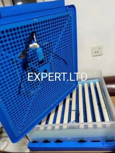 Экстракторы масла: 100 яиц, Китай, Заводское производство, Полностью автоматическая, Для всех видов птиц at lalafo.az — 6 Экстракторы масла: 100 яиц, Китай, Заводское производство, Полностью автоматическая, Для всех видов птиц — 6