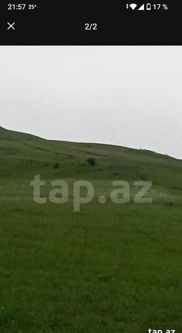 Kənd təsərrüfatı lalafo.az -da Kənd təsərrüfatı