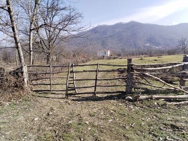 64 sot, Tikinti, Mülkiyyətçi, Bələdiyyə lalafo.az -da 64 sot, Tikinti, Mülkiyyətçi, Bələdiyyə