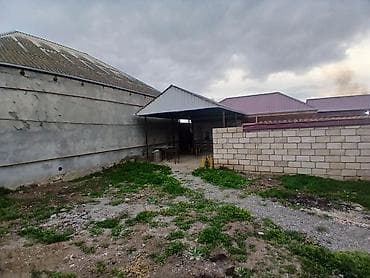 Mülk tipi: Həyət sahəsi və təsərrüfat üçün tikililər Təsvir: - Hündür lalafo.az -da — 4 Mülk tipi: Həyət sahəsi və təsərrüfat üçün tikililər Təsvir: - Hündür — 4