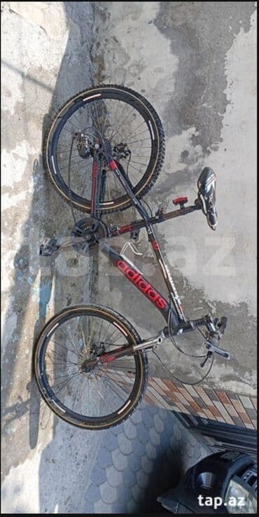 Миски: Б/у BMX велосипед Adidas, 24", Самовывоз at lalafo.az — 1 Миски: Б/у BMX велосипед Adidas, 24", Самовывоз — 1