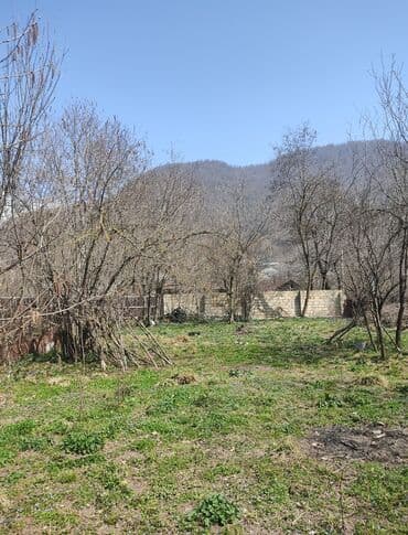 Реечные панели: 10 соток, Для бизнеса, Возможен обмен, Купчая at lalafo.az — 10 Реечные панели: 10 соток, Для бизнеса, Возможен обмен, Купчая — 10