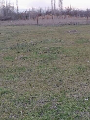 Гаражи: Для сельского хозяйства at lalafo.az — 2 Гаражи: Для сельского хозяйства — 2