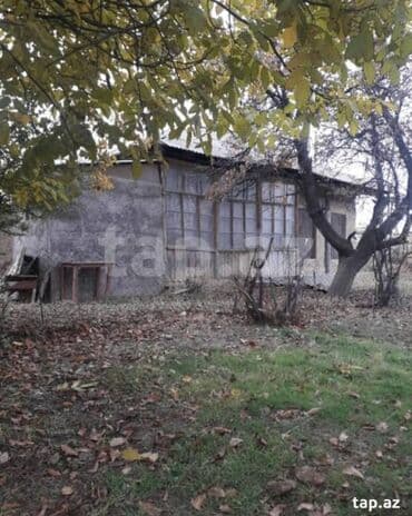 20 sot, Biznes üçün, Barter mümkündür, Kupça (Çıxarış) lalafo.az -da 20 sot, Biznes üçün, Barter mümkündür, Kupça (Çıxarış)