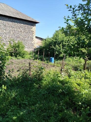 5 otaqlı, 24 kv. m, Kredit yoxdur, Orta təmir lalafo.az -da — 17 5 otaqlı, 24 kv. m, Kredit yoxdur, Orta təmir — 17