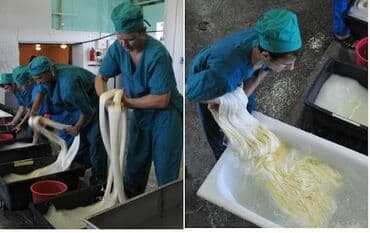 Bərdə rayonu Mehdili kəndində yerləşən pendir istehsalı müəssisəsinə lalafo.az -da Bərdə rayonu Mehdili kəndində yerləşən pendir istehsalı müəssisəsinə