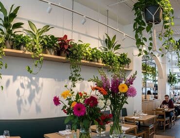 Dizayn, layihə: Yaşıl Dekor. Evlərin, ofislərin təbii və suni bitkilərlə bəzədilməsi lalafo.az -da — 4 Dizayn, layihə: Yaşıl Dekor. Evlərin, ofislərin təbii və suni bitkilərlə bəzədilməsi — 4