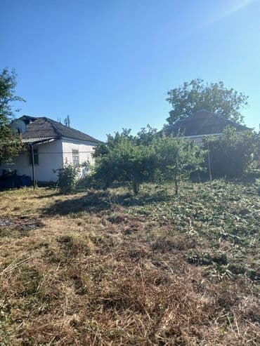 Nabran, 90 kv. m, 3 otaqlı, Hovuzsuz, Qaz, İşıq, Su lalafo.az -da Nabran, 90 kv. m, 3 otaqlı, Hovuzsuz, Qaz, İşıq, Su