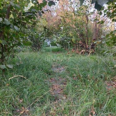 Гаражи: 12 соток, Для строительства, Собственник, Купчая at lalafo.az — 10 Гаражи: 12 соток, Для строительства, Собственник, Купчая — 10