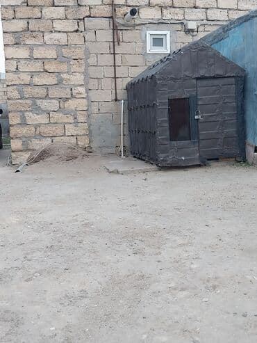 Quşxana Novxanidadi. Yeni yiğilib Yaxşi vezyetdedi laxlamagi lalafo.az -da Quşxana Novxanidadi. Yeni yiğilib Yaxşi vezyetdedi laxlamagi