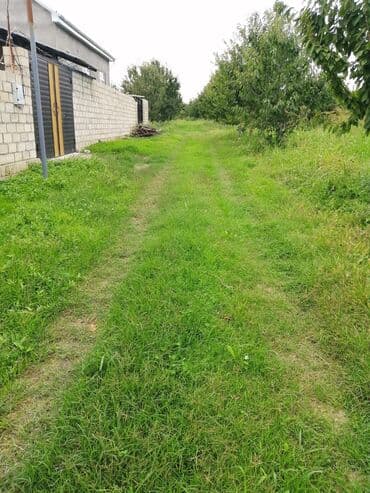 12 sot, Tikinti, Mülkiyyətçi, Kupça (Çıxarış) lalafo.az -da 12 sot, Tikinti, Mülkiyyətçi, Kupça (Çıxarış)