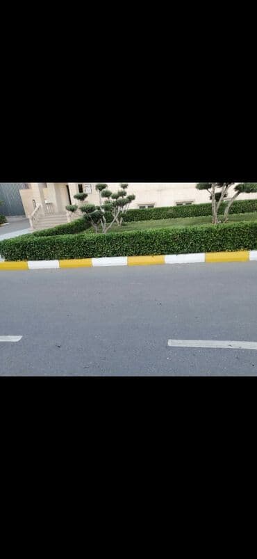 Tikiş: Bağban, 44 yaş, 5 ildən artıq təcrübə lalafo.az -da — 7 Tikiş: Bağban, 44 yaş, 5 ildən artıq təcrübə — 7