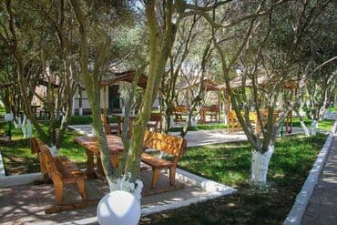 Dəniz kənarında dəniz mənzərəli, çimərliyi olan restoran icarəyə lalafo.az -da — 7 Dəniz kənarında dəniz mənzərəli, çimərliyi olan restoran icarəyə — 7