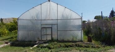 Idiyen olsa matorunan birlikde isdiyn olsa tek parnik lalafo.az -da Idiyen olsa matorunan birlikde isdiyn olsa tek parnik