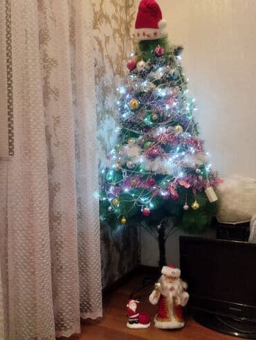 Yeni il yolkası, pula ehtiyacım olduğu üçün satıram,keçən il almışam lalafo.az -da Yeni il yolkası, pula ehtiyacım olduğu üçün satıram,keçən il almışam