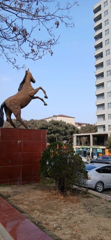 Temiz,seliqeli ofis icareye verilir,XİRDALANDA Vedi restoraninin lalafo.az -da Temiz,seliqeli ofis icareye verilir,XİRDALANDA Vedi restoraninin