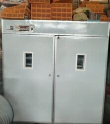 5000 yumurta, Azərbaycan, Fabrik istehsalı, Tam avtomat, Bütün növ quşlaq üçün lalafo.az -da 5000 yumurta, Azərbaycan, Fabrik istehsalı, Tam avtomat, Bütün növ quşlaq üçün