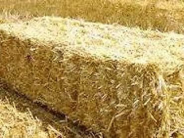 Saman satılır
ünvan Qobustan rayonu
qiyməti 1.50 at lalafo.az Saman satılır
ünvan Qobustan rayonu
qiyməti 1.50