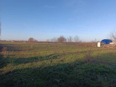 Kənd təsərrüfatı lalafo.az -da Kənd təsərrüfatı