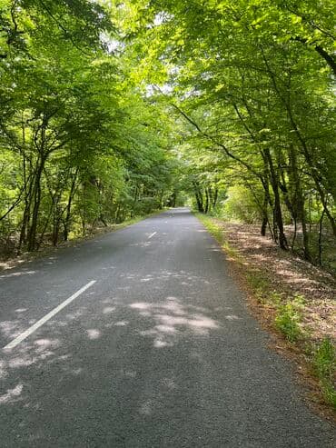 Гаражи: 30 соток, Для строительства, Возможен обмен, Купчая at lalafo.az — 4 Гаражи: 30 соток, Для строительства, Возможен обмен, Купчая — 4