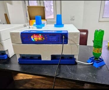 Экстракторы масла: 100 яиц, Китай, Заводское производство, Полностью автоматическая, Для всех видов птиц at lalafo.az — 9 Экстракторы масла: 100 яиц, Китай, Заводское производство, Полностью автоматическая, Для всех видов птиц — 9