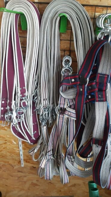 Heyvanlar üçün
İri buynuzlu
Remenlər,
Zəncirlər lalafo.az -da Heyvanlar üçün
İri buynuzlu
Remenlər,
Zəncirlər