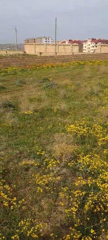 Tikinti, Maklerlər narahat etməsin, Kupça (Çıxarış), Texniki pasport lalafo.az -da Tikinti, Maklerlər narahat etməsin, Kupça (Çıxarış), Texniki pasport