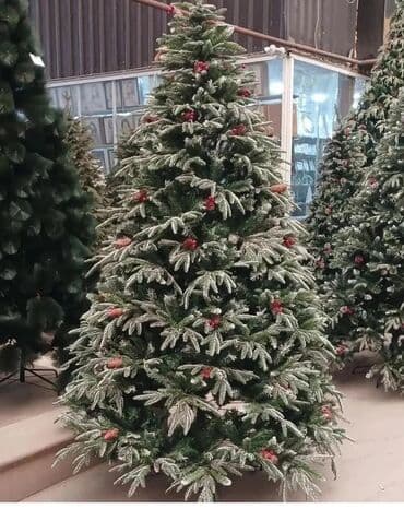 - Hündürlük: 120sm . 85azn 150sm. 115azn 180sm. 185azn 210sm. 215azn lalafo.az -da - Hündürlük: 120sm . 85azn 150sm. 115azn 180sm. 185azn 210sm. 215azn